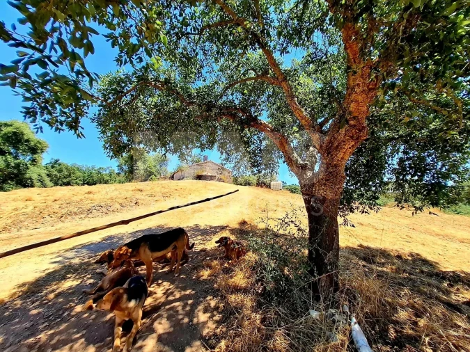Terreno para Venda em Reliquias Foto 7