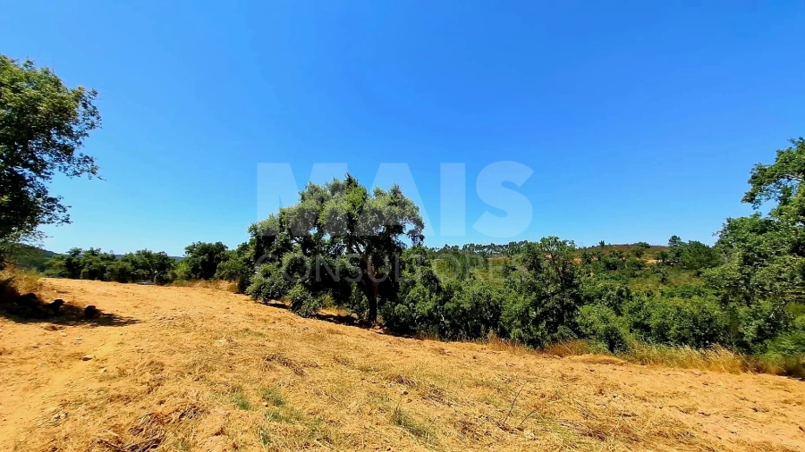 Terreno para Venda em Reliquias Foto 4