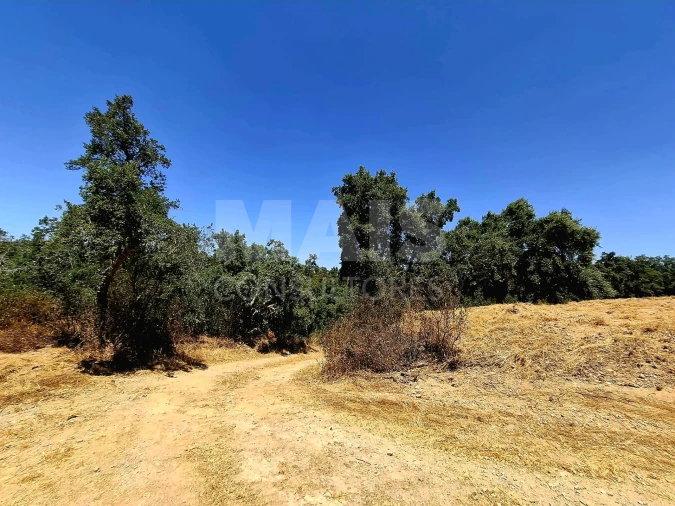 Terreno para Venda em Reliquias Foto 8