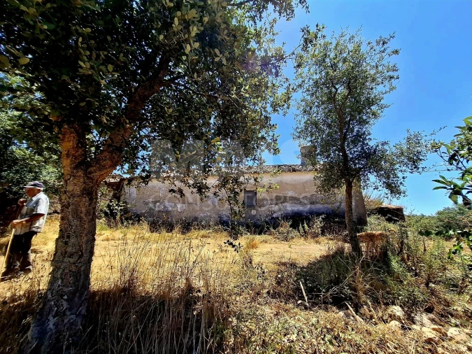 Terreno para Venda em Reliquias Foto 5