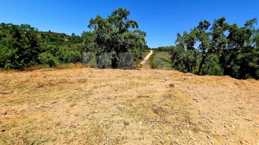 Terreno para Venda em Reliquias Foto 2