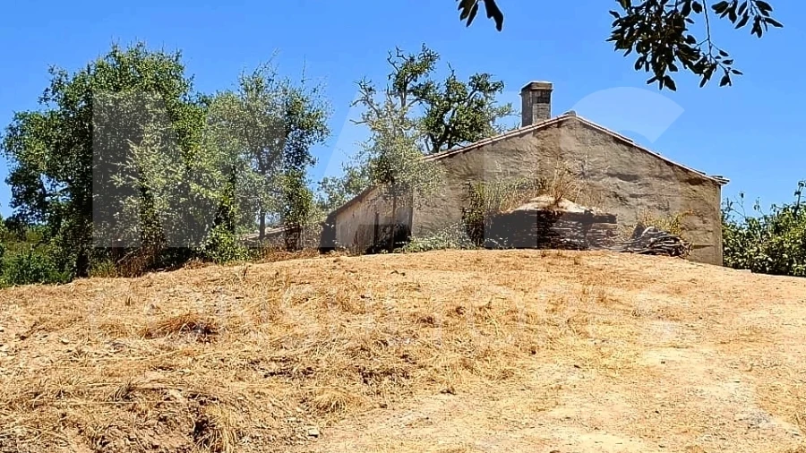 Terreno para Venda em Reliquias