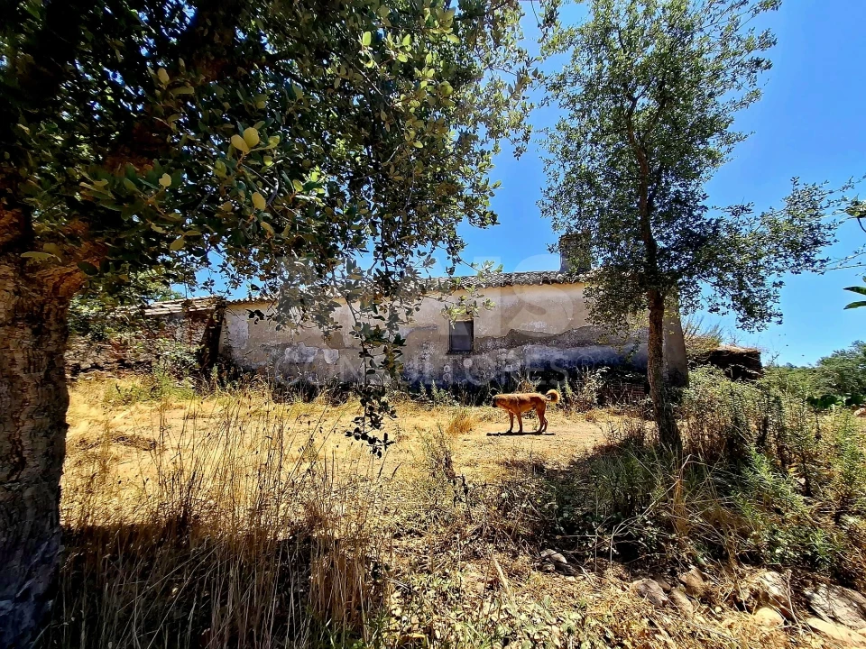 Terreno para Venda em Reliquias Foto 7