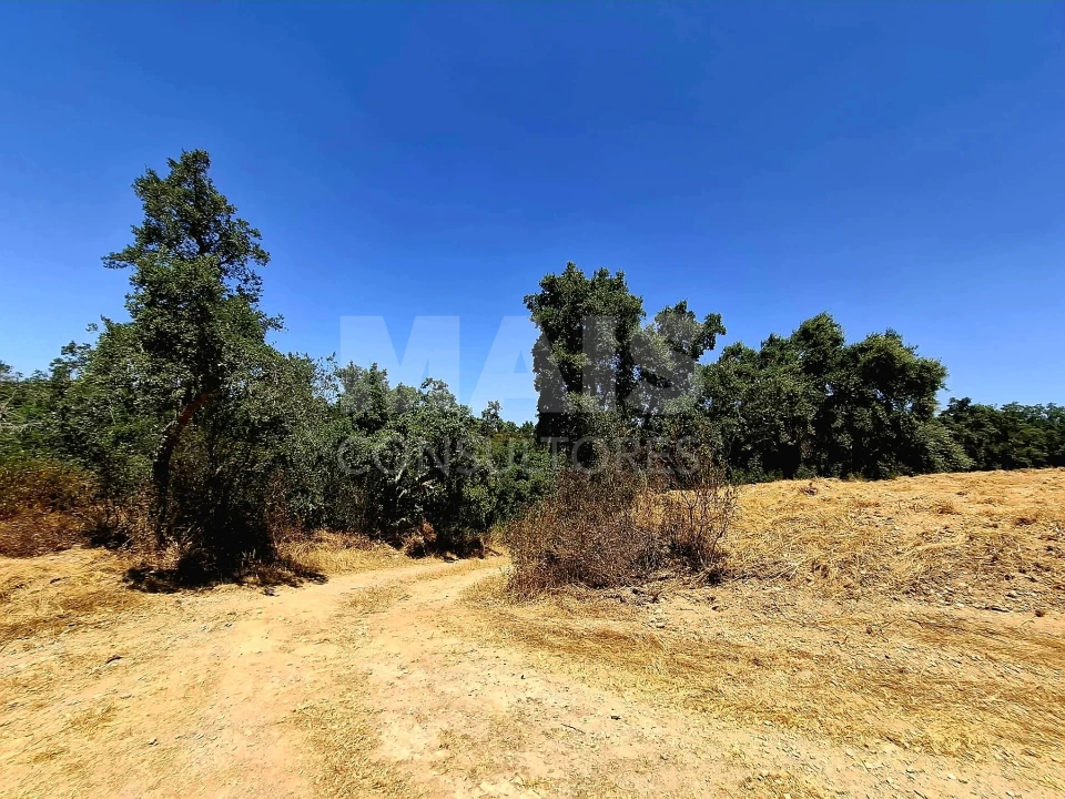 Terreno para Venda em Reliquias Foto 8