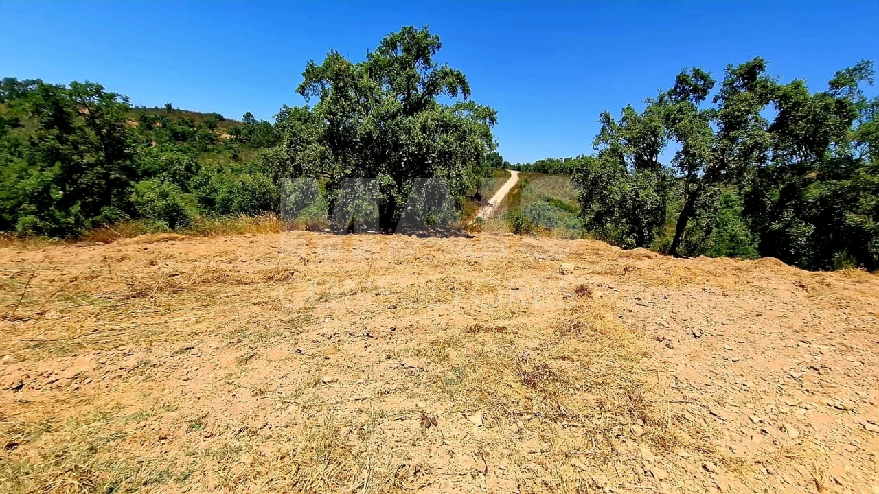 Terreno para Venda em Reliquias Foto 2