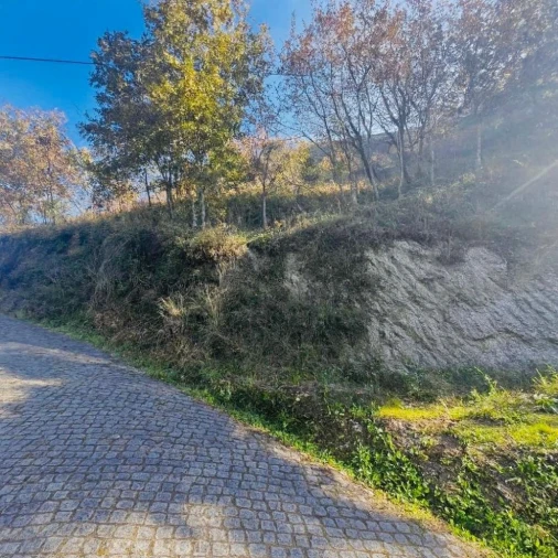 Terreno para Venda em Aboadela, Sanche e Várzea Foto 7