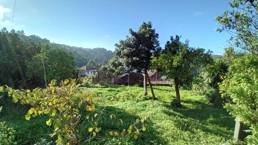 Moradia T4 para Venda em Lomba Foto 5