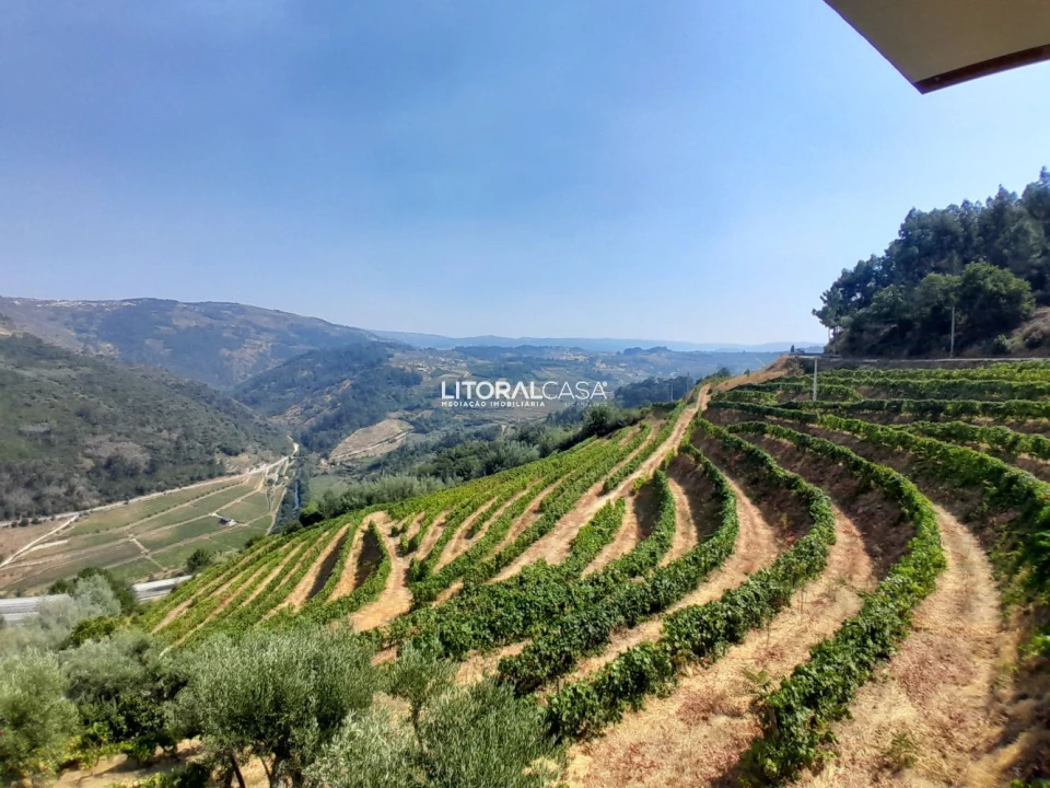 Moradia T3 para Venda em Lamego (Almacave e Sé) Foto 28