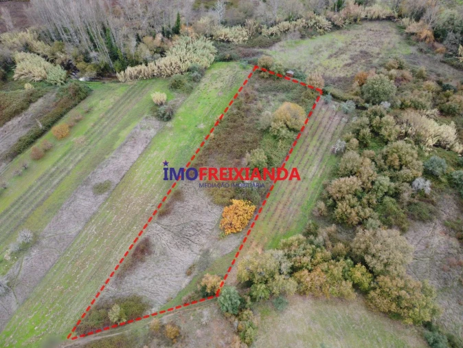 Terreno para Venda em Rio de Couros e Casal dos Bernardos Foto 10