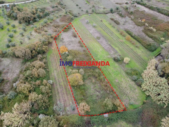 Terreno para Venda em Rio de Couros e Casal dos Bernardos Foto 7