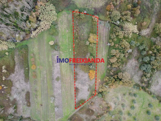 Terreno para Venda em Rio de Couros e Casal dos Bernardos Foto 6