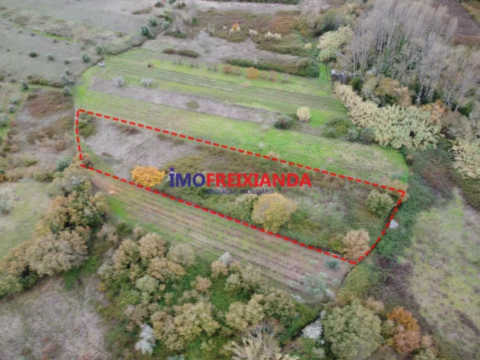 Terreno para Venda em Rio de Couros e Casal dos Bernardos Foto 8