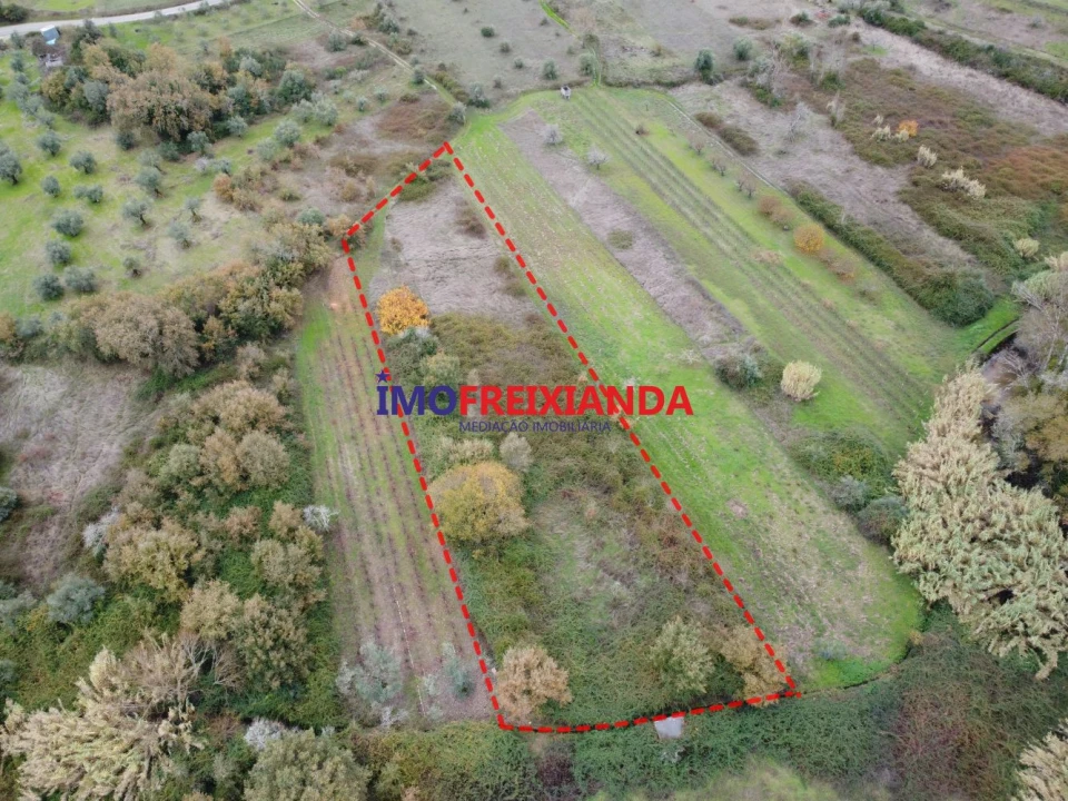 Terreno para Venda em Rio de Couros e Casal dos Bernardos Foto 7
