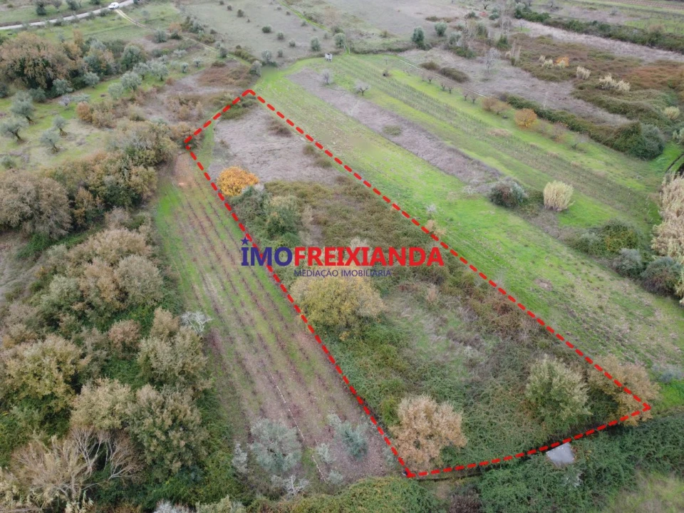 Terreno para Venda em Rio de Couros e Casal dos Bernardos Foto 11
