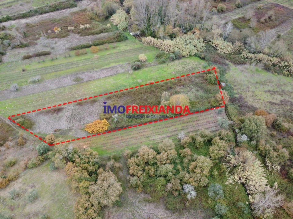 Terreno para Venda em Rio de Couros e Casal dos Bernardos Foto 9