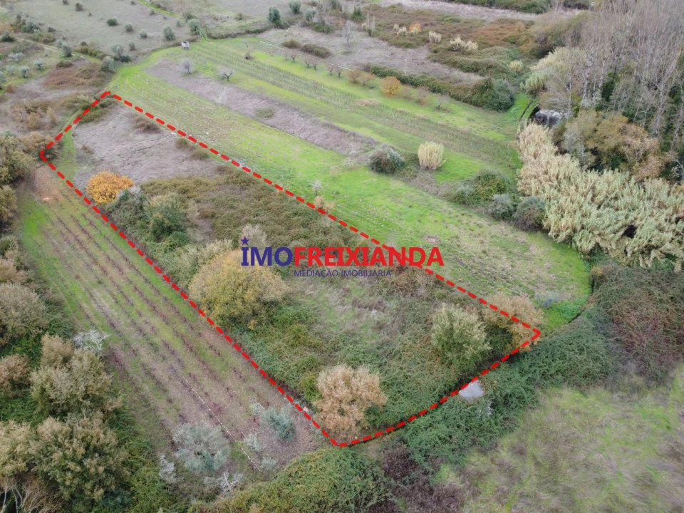 Terreno para Venda em Rio de Couros e Casal dos Bernardos Foto 12