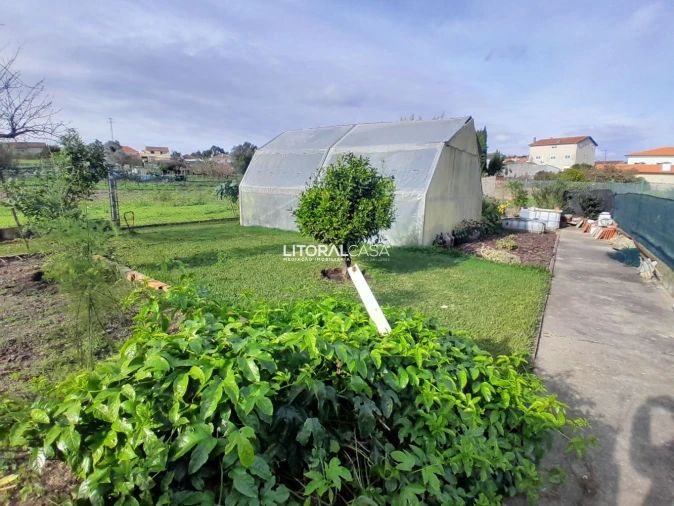 Moradia T4 para Venda em Oliveira do Bairro Foto 37