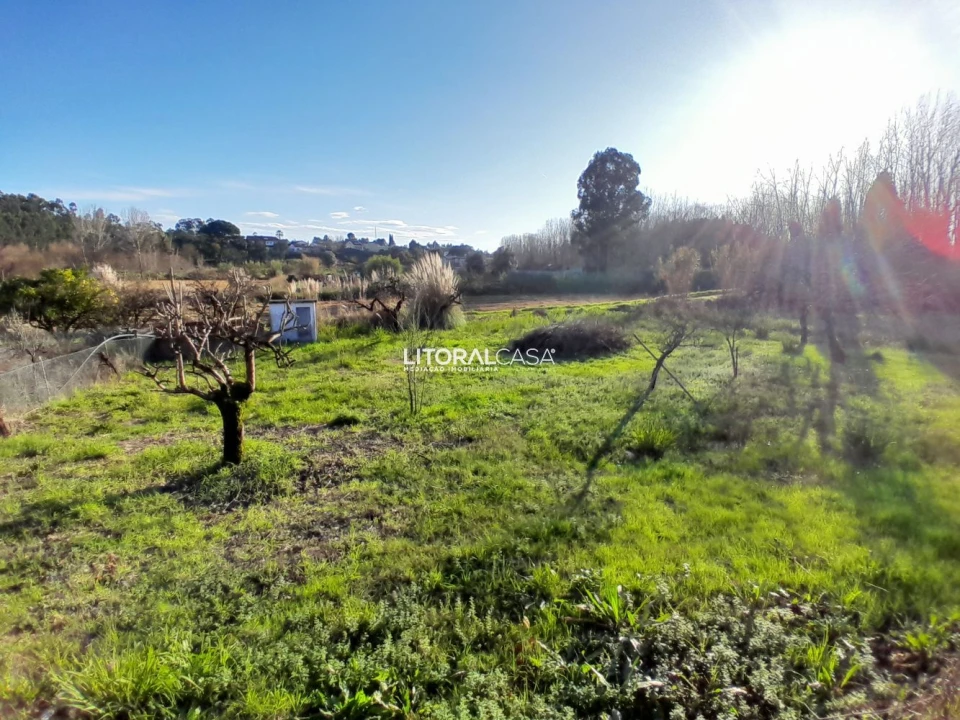 Moradia T5 para Venda em Oiã Foto 45