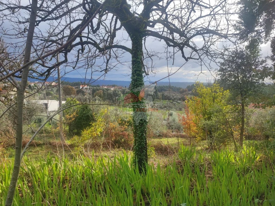 Quinta T3 para Venda em Pedrogão Grande Foto 37