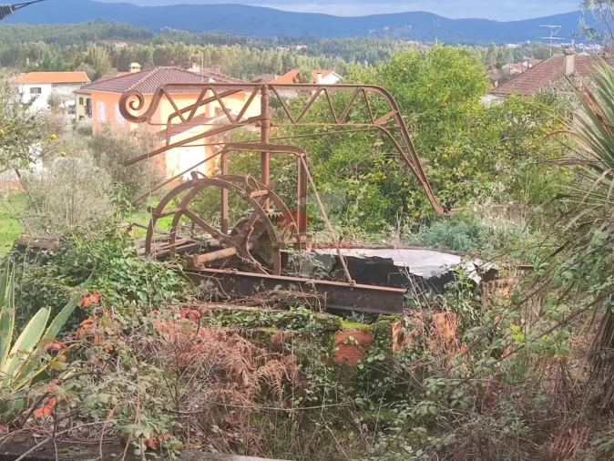 Quinta T3 para Venda em Pedrogão Grande Foto 39