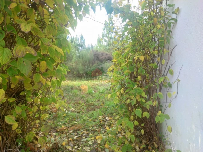 Quinta T3 para Venda em Pedrogão Grande Foto 35