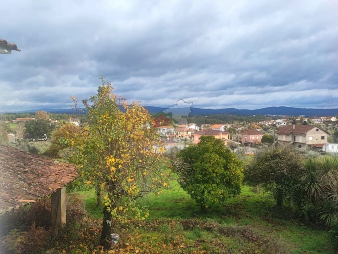 Quinta T3 para Venda em Pedrogão Grande Foto 52