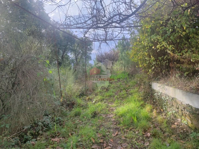 Quinta T3 para Venda em Pedrogão Grande Foto 36