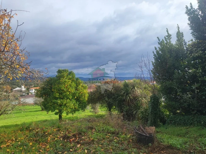 Quinta T3 para Venda em Pedrogão Grande Foto 38