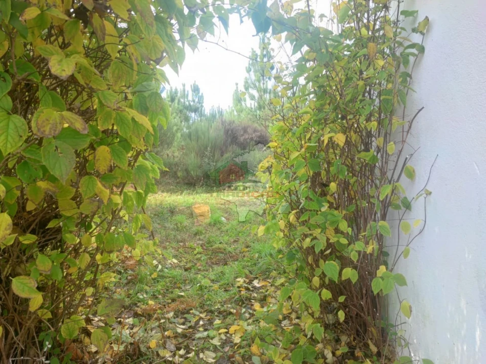 Quinta T3 para Venda em Pedrogão Grande Foto 35