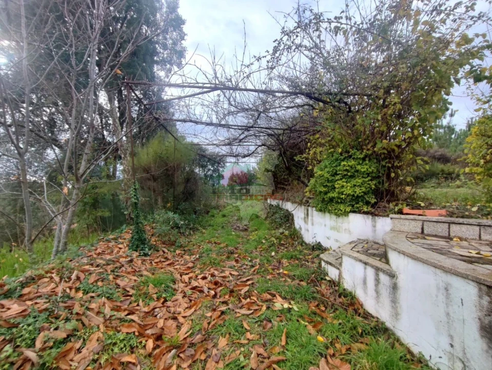 Quinta T3 para Venda em Pedrogão Grande Foto 4