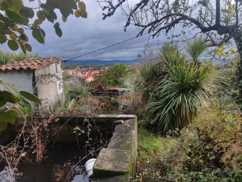 Quinta T3 para Venda em Pedrogão Grande Foto 41