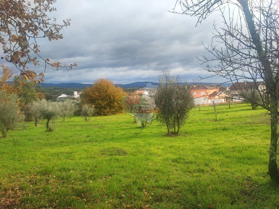 Quinta T3 para Venda em Pedrogão Grande Foto 49