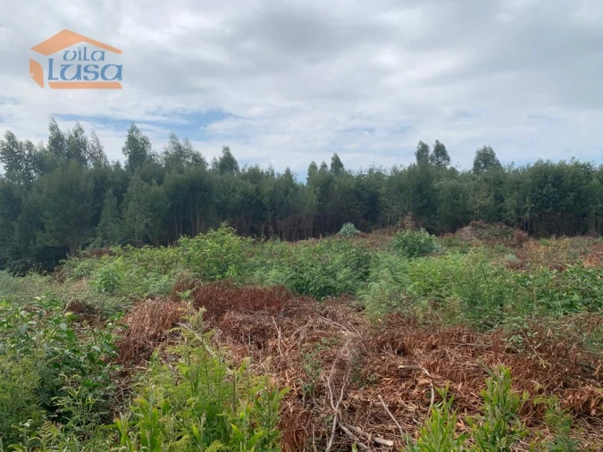 Terreno para Venda em Castêlo da Maia Foto 11