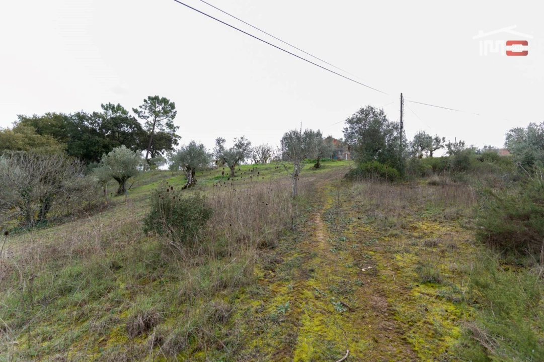 Terreno P/ Prédio para Venda em Atouguia Foto 2
