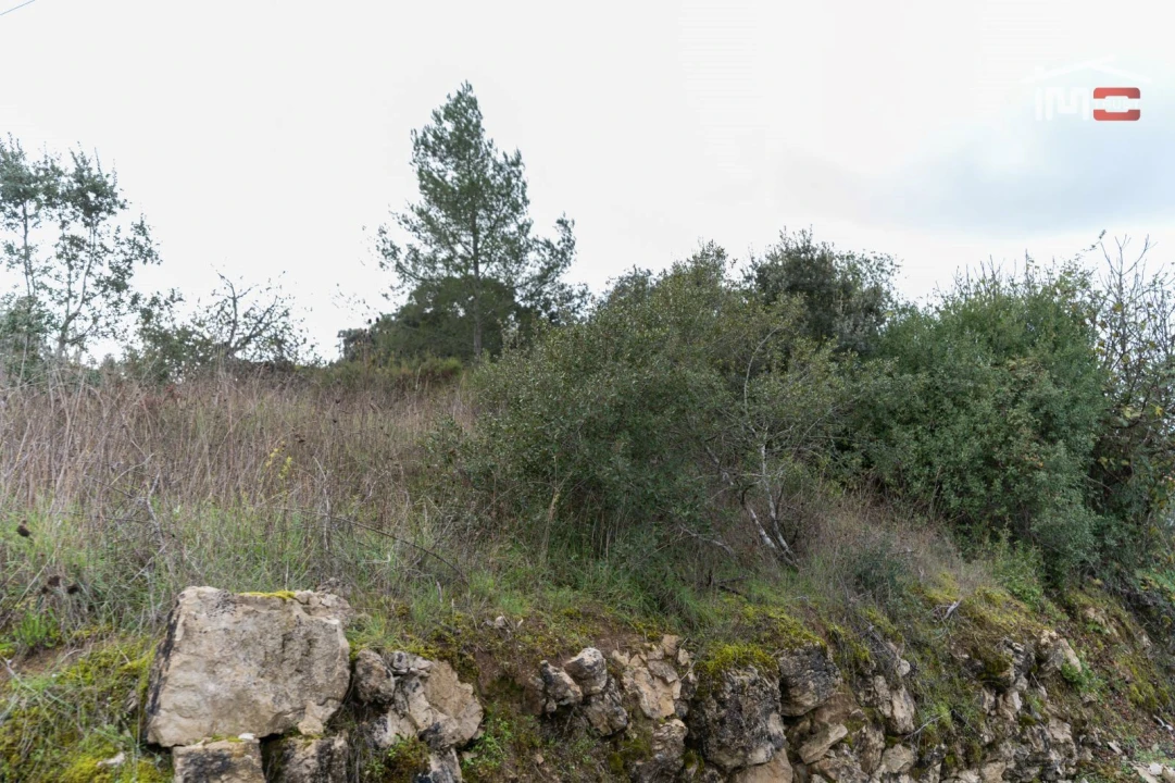 Terreno P/ Prédio para Venda em Atouguia Foto 3