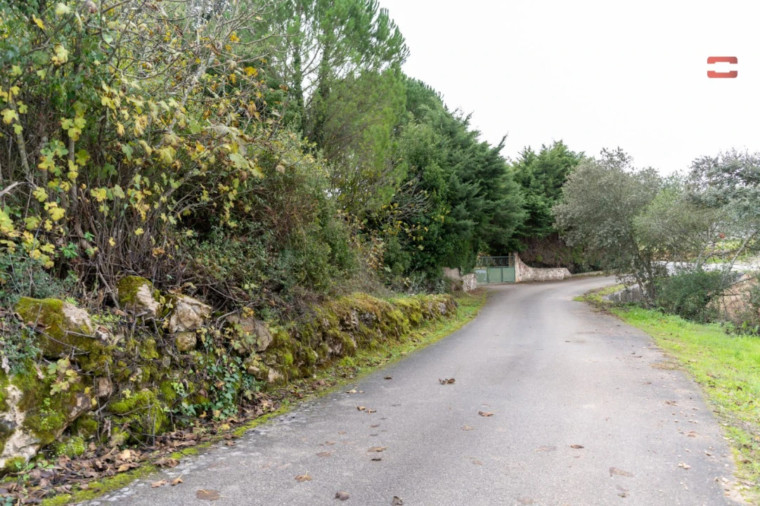 Terreno P/ Prédio para Venda em Atouguia Foto 5