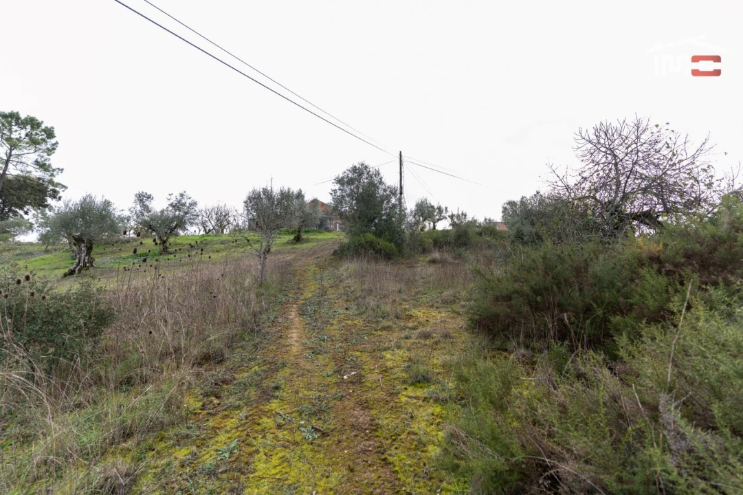 Terreno P/ Prédio para Venda em Atouguia Foto 8