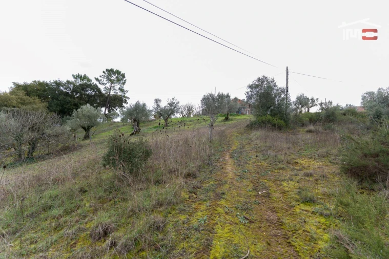 Terreno P/ Prédio para Venda em Atouguia Foto 2