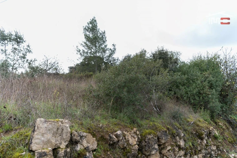 Terreno P/ Prédio para Venda em Atouguia Foto 3