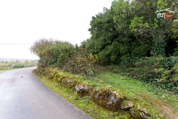 Terreno P/ Prédio para Venda em Atouguia Foto 6