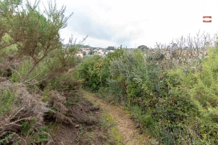 Terreno P/ Prédio para Venda em Atouguia Foto 9