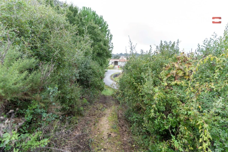 Terreno P/ Prédio para Venda em Atouguia Foto 10