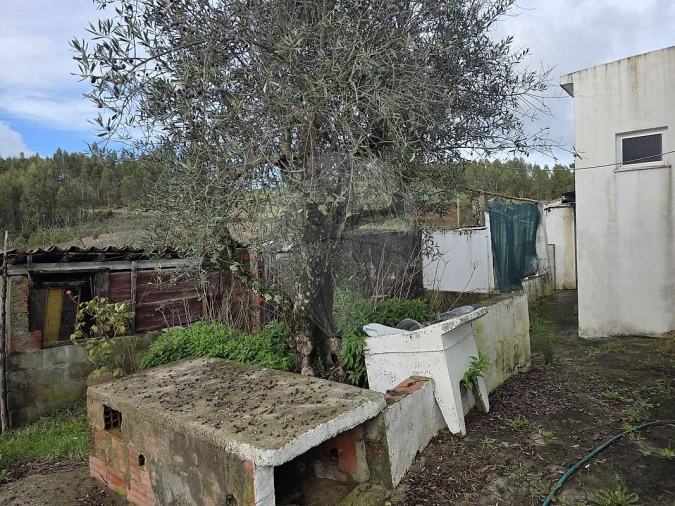 Moradia T4 para Venda em Envendos Foto 20