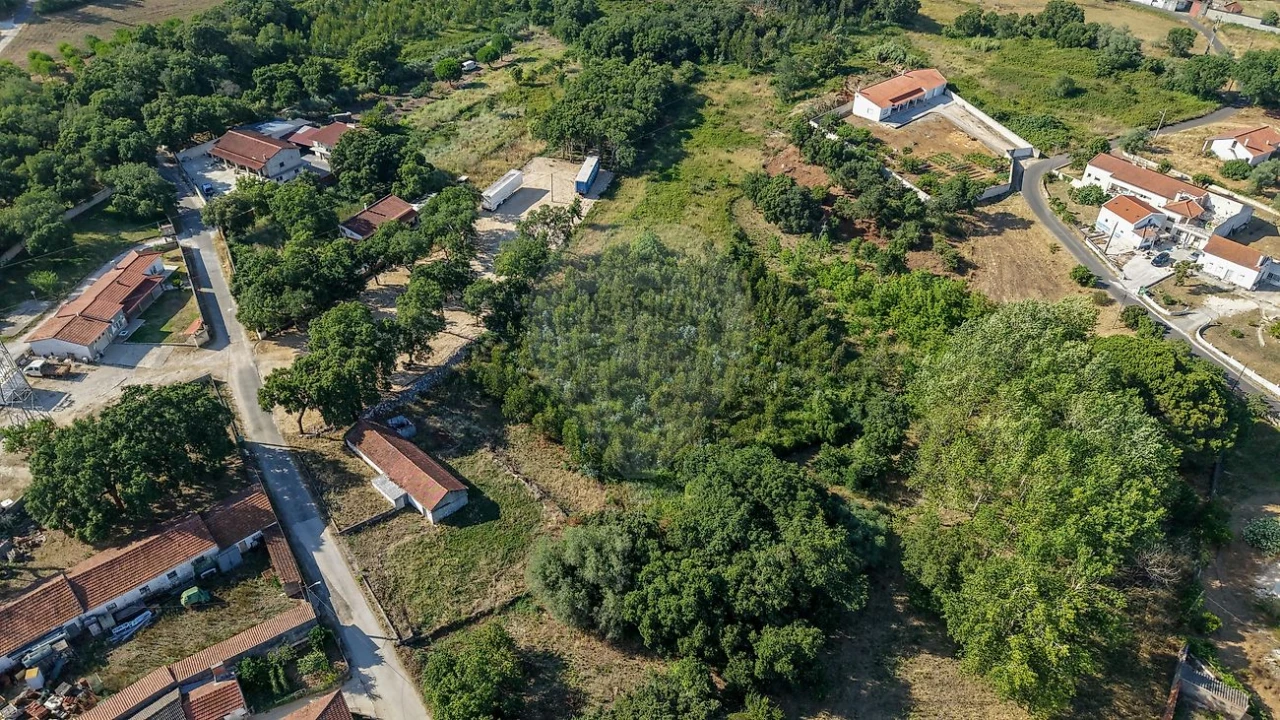 Armazém para Venda em Rio Maior Foto 22