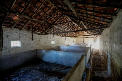 Armazém para Venda em Rio Maior