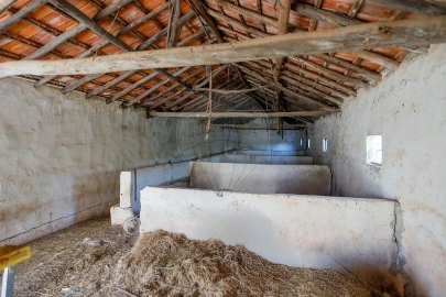 Armazém para Venda em Rio Maior