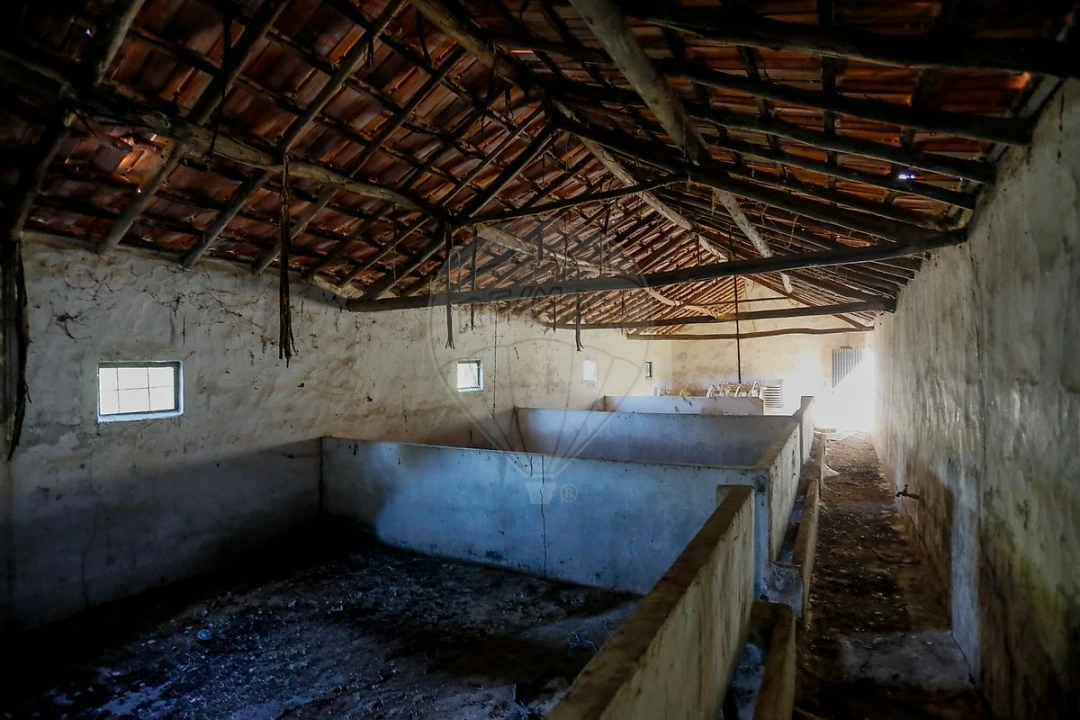 Armazém para Venda em Rio Maior Foto 7