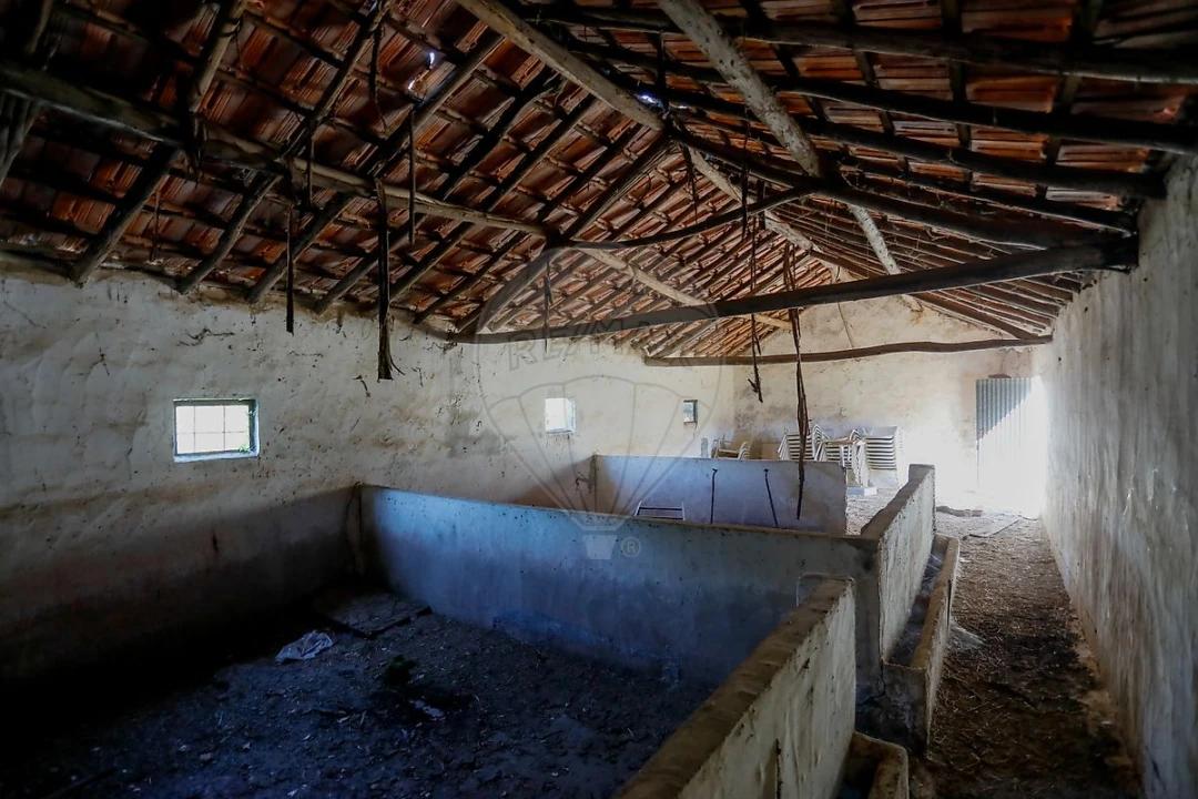 Armazém para Venda em Rio Maior Foto 12