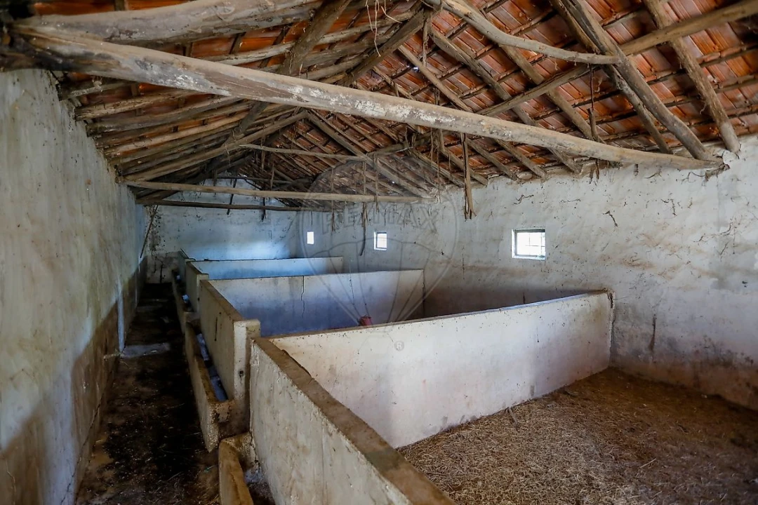 Armazém para Venda em Rio Maior Foto 6