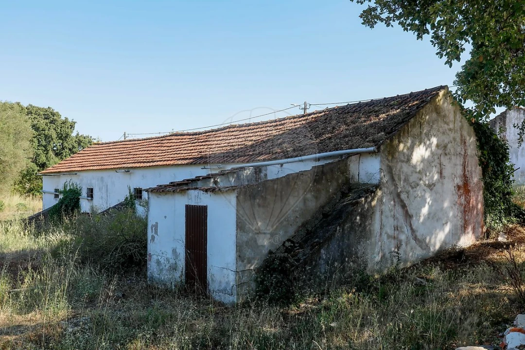 Armazém para Venda em Rio Maior Foto 13